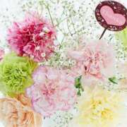 ヒメ日記 2025/03/15 23:10 投稿 かれん ピュアグレイス