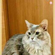 ヒメ日記 2025/05/05 23:10 投稿 かれん ピュアグレイス