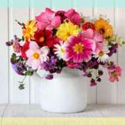 ヒメ日記 2025/05/09 22:12 投稿 かれん ピュアグレイス