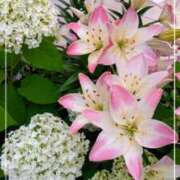 ヒメ日記 2025/06/06 12:22 投稿 かれん ピュアグレイス