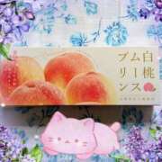 ヒメ日記 2025/06/20 12:20 投稿 かれん ピュアグレイス