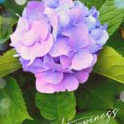 ヒメ日記 2025/06/21 22:34 投稿 かれん ピュアグレイス