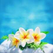 ヒメ日記 2025/07/21 22:54 投稿 かれん ピュアグレイス