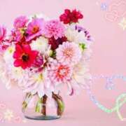 ヒメ日記 2025/07/25 21:38 投稿 かれん ピュアグレイス