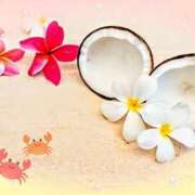 ヒメ日記 2025/08/29 16:10 投稿 かれん ピュアグレイス