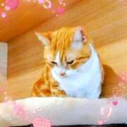 ヒメ日記 2025/09/12 22:02 投稿 かれん ピュアグレイス