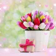 ヒメ日記 2025/11/09 19:34 投稿 かれん ピュアグレイス