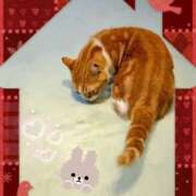 ヒメ日記 2025/11/21 23:12 投稿 かれん ピュアグレイス