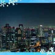 ヒメ日記 2025/11/28 23:40 投稿 かれん ピュアグレイス