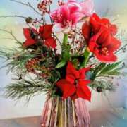 ヒメ日記 2025/12/05 23:28 投稿 かれん ピュアグレイス