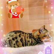 ヒメ日記 2025/12/19 22:30 投稿 かれん ピュアグレイス