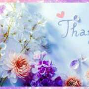 ヒメ日記 2025/12/31 19:08 投稿 かれん ピュアグレイス