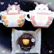 ヒメ日記 2026/01/12 20:28 投稿 かれん ピュアグレイス