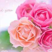 かれん ありがとうございました ピュアグレイス