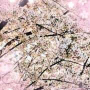 かれん ありがとうございました ピュアグレイス