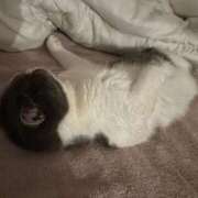 ヒメ日記 2025/09/10 18:45 投稿 ゆうな♡即プレイ可能♡ Q-STORY