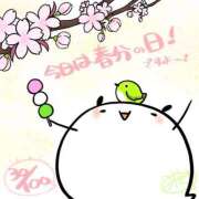 ヒメ日記 2025/03/20 13:58 投稿 あきほ タレント倶楽部Around40