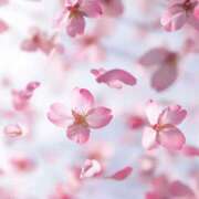 ヒメ日記 2025/03/20 16:58 投稿 あきほ タレント倶楽部Around40