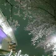 ヒメ日記 2025/03/30 11:04 投稿 あきほ タレント倶楽部Around40