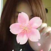 ヒメ日記 2025/04/05 15:00 投稿 あきほ タレント倶楽部Around40