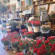 ヒメ日記 2025/05/11 11:06 投稿 あきほ タレント倶楽部Around40