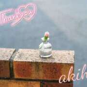 ヒメ日記 2025/05/16 04:44 投稿 あきほ タレント倶楽部Around40