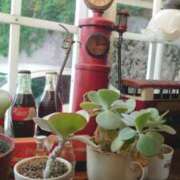 ヒメ日記 2025/06/01 05:30 投稿 あきほ タレント倶楽部Around40