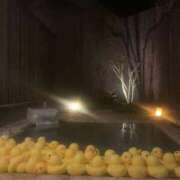 ヒメ日記 2025/07/10 05:54 投稿 りな♡綺麗系美少女♡ 即生専門店ゴッドパイ