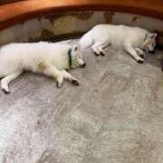 ヒメ日記 2025/08/02 02:18 投稿 りな♡綺麗系美少女♡ 即生専門店ゴッドパイ