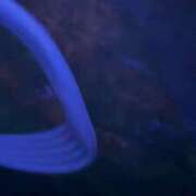 ヒメ日記 2025/09/07 23:24 投稿 りな♡綺麗系美少女♡ 即生専門店ゴッドパイ