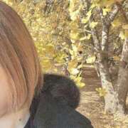 ヒメ日記 2024/12/22 07:45 投稿 まな 待ちナビ