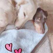 ヒメ日記 2025/01/10 19:10 投稿 まな 待ちナビ