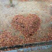 ヒメ日記 2025/03/11 17:15 投稿 まな 待ちナビ