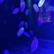 ヒメ日記 2025/03/14 12:05 投稿 まな 待ちナビ