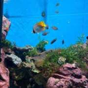 ヒメ日記 2025/03/26 14:05 投稿 まな 待ちナビ