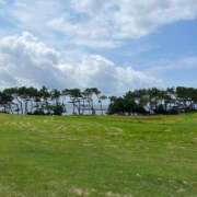 ヒメ日記 2025/04/10 13:35 投稿 まな 待ちナビ