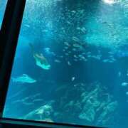 ヒメ日記 2025/04/19 09:08 投稿 まな 待ちナビ