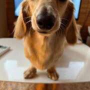 ヒメ日記 2025/05/08 21:21 投稿 まな 待ちナビ