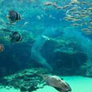 ヒメ日記 2025/07/31 10:05 投稿 まな 待ちナビ