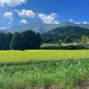 ヒメ日記 2025/08/17 10:06 投稿 まな 待ちナビ