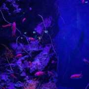 ヒメ日記 2025/09/14 16:05 投稿 まな 待ちナビ