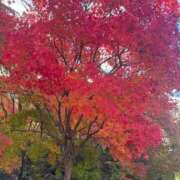 ヒメ日記 2025/11/08 08:36 投稿 まな 待ちナビ