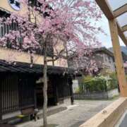ヒメ日記 2026/03/24 07:35 投稿 まな 待ちナビ