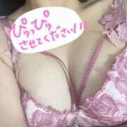 ヒメ日記 2025/05/12 18:43 投稿 ふわり cocoro