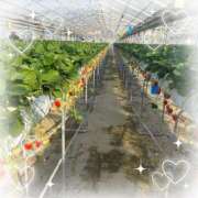 ヒメ日記 2026/01/13 08:06 投稿 藤沢あき 若奥サマンサ（横浜ハレ系）