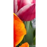 ヒメ日記 2025/04/10 19:57 投稿 りこ 東京エステコレクション 新橋・銀座