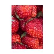 ヒメ日記 2025/04/14 19:50 投稿 りこ 東京エステコレクション 新橋・銀座