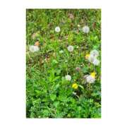 ヒメ日記 2025/05/14 20:36 投稿 りこ 東京エステコレクション 新橋・銀座