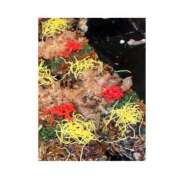 ヒメ日記 2025/05/19 19:45 投稿 りこ 東京エステコレクション 新橋・銀座