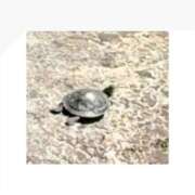 ヒメ日記 2025/07/21 01:04 投稿 りこ 東京エステコレクション 新橋・銀座